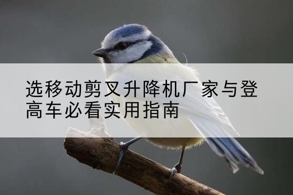 汉阳电动升降机厂家-选移动剪叉升降机厂家与登高车必看实用指南