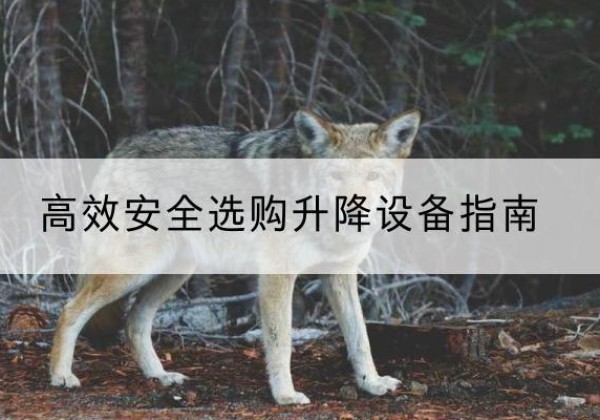 汉阳升降货梯厂家推荐-*安全选购升降设备指南